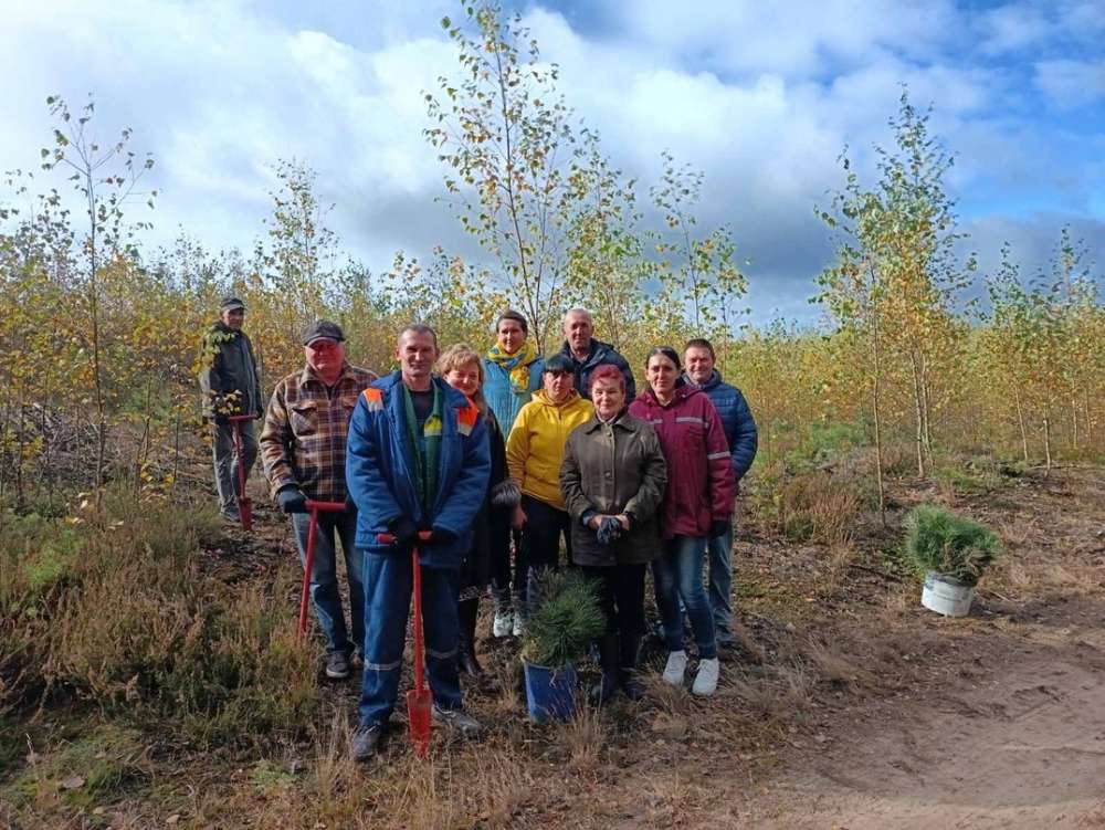 15 октября 2025 года коллектив 6 поликлиники принял активное участие в республиканской акции по посадке деревьев “Дай лесу новае жыццё”! 🌳✨