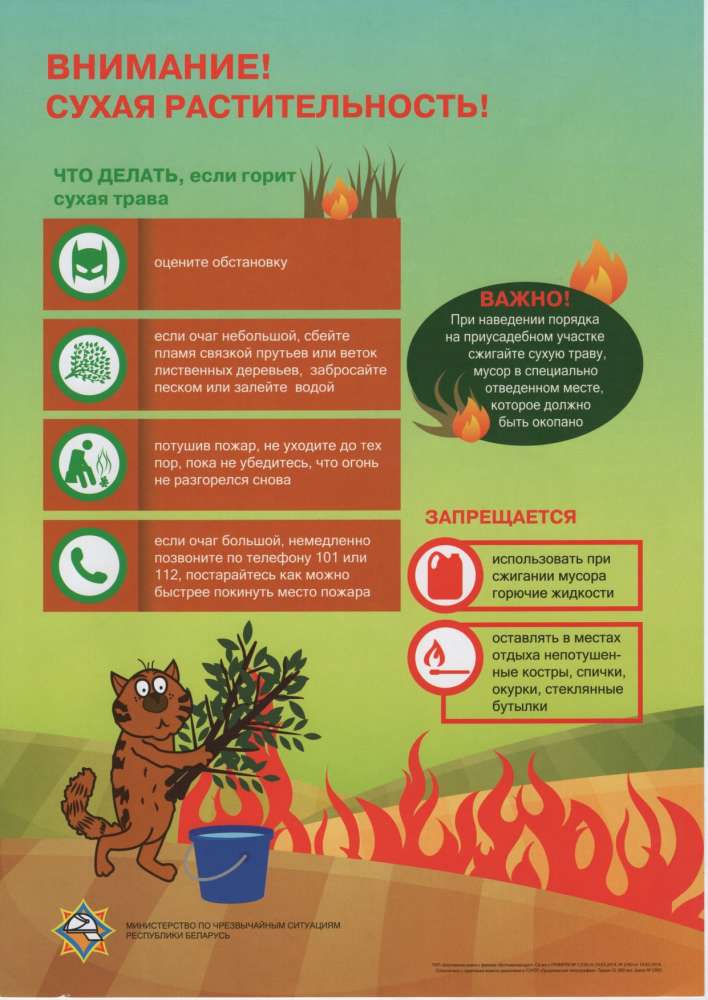 Внимание! Сухая растительность!