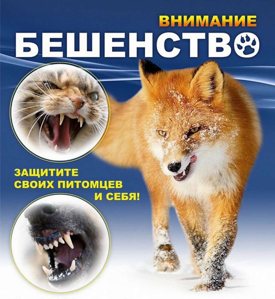 Не дай себя укусить!!!